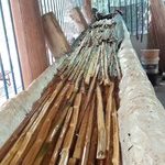 bambu tratamento imersao duco