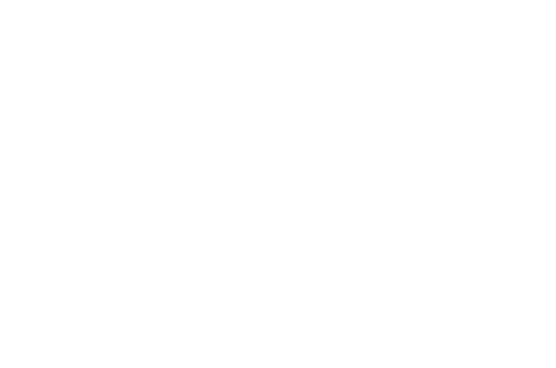 logo duco branco