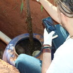 bombona-analise-esgoto-polaca