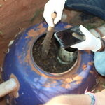 bombona-analise-polaca