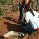 caixa-intermediaria-analise-laboratorial