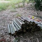 colheita-bambus-empilhados