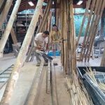 corte-bambu-gigante-galpao-motoserra