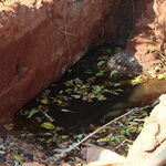 infiltracao-esgoto-tratado-antes-biofiltro