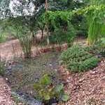 lagoa-tratamento-aguas-cinzas