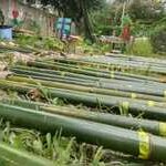 proximidade-pecas-geodesica