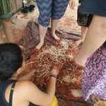 taipa-coletivo-mao-na-terra