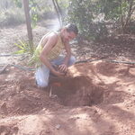 transporte-replantio-obra